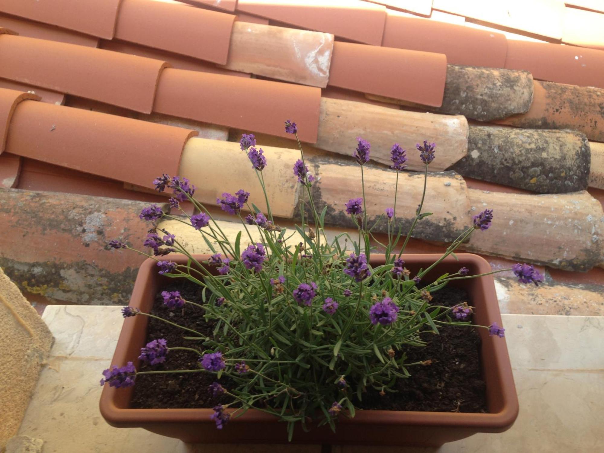 Gerani House Βίλα Cefalù Εξωτερικό φωτογραφία